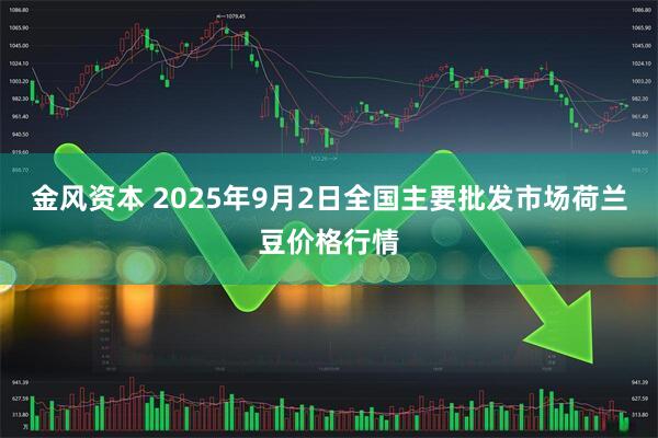 金风资本 2025年9月2日全国主要批发市场荷兰豆价格行情