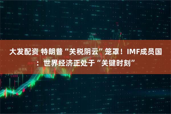 大发配资 特朗普“关税阴云”笼罩！IMF成员国：世界经济正处于“关键时刻”